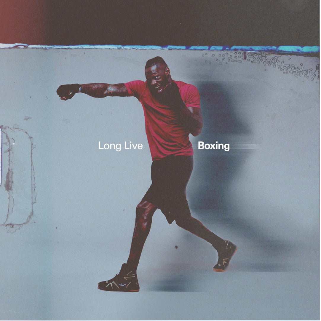 Premium 14Oz Red Pro Boxing Gloves for Ultimate Performance